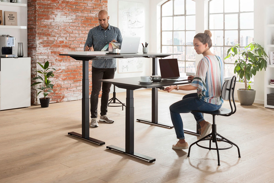 Linak Desk Frame 2 kaufen